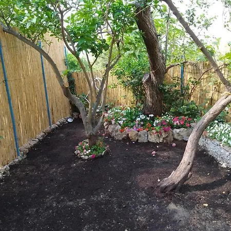 Nuida ホテル カプリ